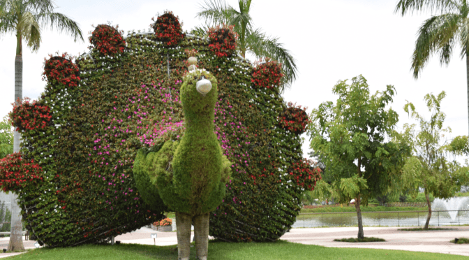 «JARDINES DE MÉXICO» ¡EL MÁS GRANDE DEL MUNDO!